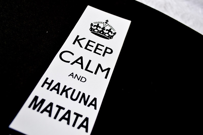 Keep-calm-and-hakuna-matata-GatoQueFlutua_blog_Foto_Debb_Cabral